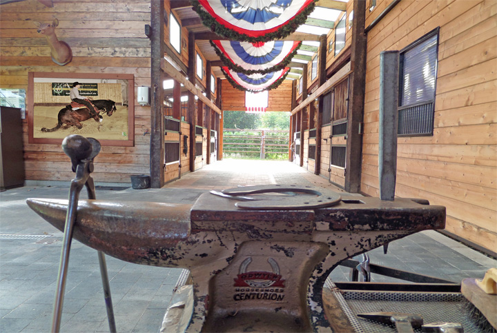 field of dreams hoofcare